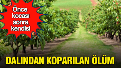 Dalından koparılan ölüm: Önce kocası, sonra kendisi: Kastamonu’da kiraz faciası