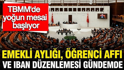 TBMM'de yoğun mesai: IBAN düzenlemesi, emekli aylığı, öğrenci affı gündemde