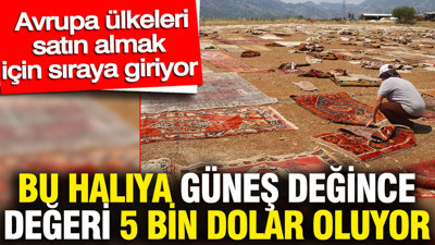 Bu halıya güneş değince değeri 5 bin dolar oluyor... Avrupa ülkeleri satın almak için sıraya giriyor
