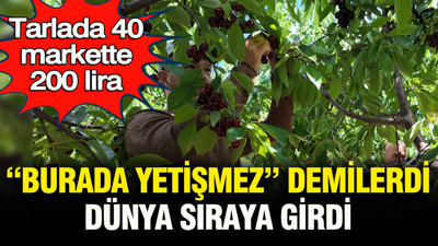 "Burada yetişmez" demişlerdi: Dünya sıraya girdi… Tarlada 40, markette 200 lira