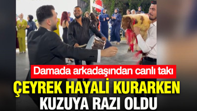 Çeyrek hayali kurarken kuzuya razı oldu: Damada arkadaşından canlı takı
