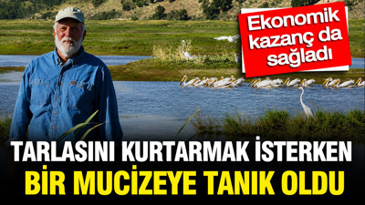 Tarlasını kurtarmak isterken bambaşka bir mucizeye tanık oldu
