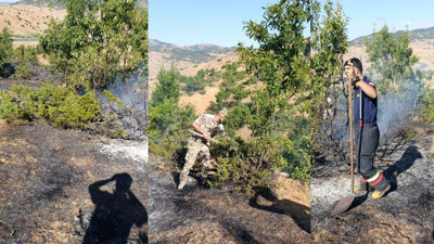 Bingöl Genç'te yol kenarındaki yangın ekiplerce söndürüldü