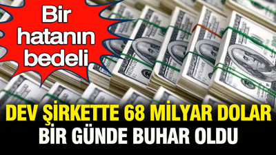 Bir hatanın bedeli: Dev şirket bir günde 68 milyar dolar değer kaybetti