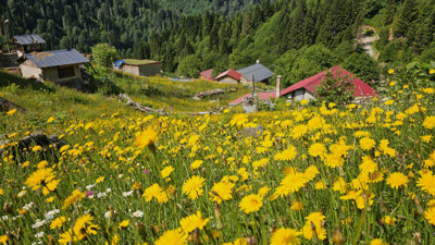 Kaçkar Dağları Milli Parkı ve Ayder Yaylası ziyaretçi akınına uğruyor