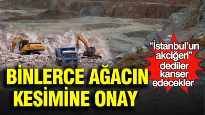 “İstanbul’un akciğeri” dediler kanser edecekler: Binlerce ağacın kesimine onay