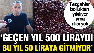 35 yıllık esnaf isyan etti: 'Geçen yıl kilosu 500 liraydı bu yıl 50 liraya gitmiyor'