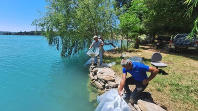 Manavgat'ta baraj gölüne 400 bin balık yavrusu bırakıldı