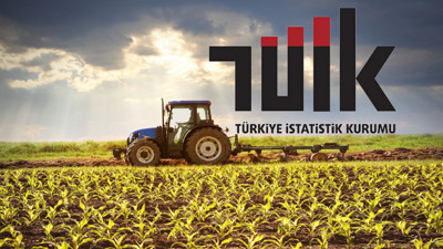 TÜİK açıkladı: Tarımsal girdi fiyatlarında sert artış