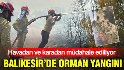Balıkesir’de orman yangını: Havadan ve karadan müdahale ediliyor