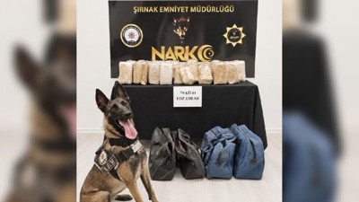 Şırnak'ta bir TIR'da 79 kilogram esrar bulundu