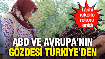 ABD ve Avrupa’nın gözdesi Türkiye’den: Tarihi rekolte rekoru kırıldı