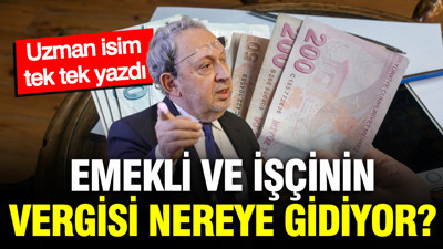 Vergi yüzsüzlerine kızıyoruz ama asıl gerçek başka: Şeref Oğuz açıkladı