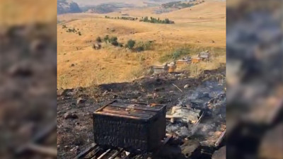 Bingöl Solhan’da arı kovanları ateşe verildi: 25 kovan ve içindeki arılar kül oldu