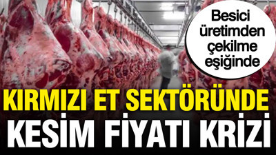 Kırmızı et sektöründe kesim fiyatı krizi: Besici üretimden çekilme eşiğinde