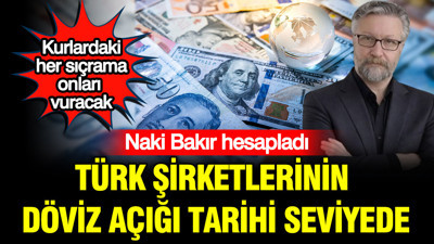 Naki Bakır hesapladı: Türk şirketlerinin döviz açığı tarihi seviyede