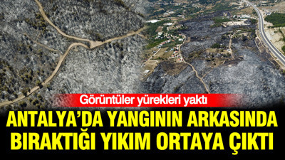 Antalya’da yangının arkasında bıraktığı yıkım ortaya çıktı: Görüntüler yürek yaktı