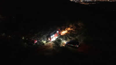 Bir kuş az kalsın tüm ormanı yakıyordu: Facia son anda önlendi