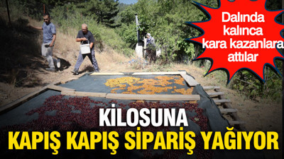 Dalında kalınca kara kazanlara attılar: Şimdi kilosuna kapış kapış sipariş yağıyor