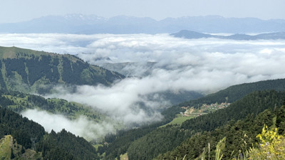 Artvin Şavşat’ta yoğun sis ulaşımı ve görüşü olumsuz etkiledi