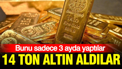 Üç ayda 14 ton altın aldılar: Kripto para şirketi yaptı