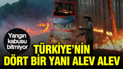 Yangın kabusu bitmiyor: Türkiye’nin dört bir yanı alev alev