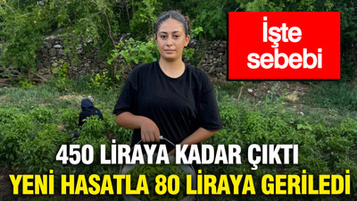450 liraya kadar çıktı, yeni hasatla 80 liraya geriledi: İşte sebebi