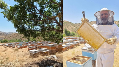 Diyarbakır’da yeni sezon bal sağımı başladı: Dicle ve Maden kırsalında yüksek verim