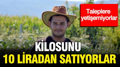 Kilosunu 10 liradan satıyorlar: Taleplere yetişemiyorlar