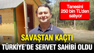 Tanesini 250 bin TL'den satıyor: Savaştan kaçtı Türkiye'de servet sahibi oldu