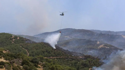 Aydın Çine'deki orman yangını soruşturmasında 2 gözaltı