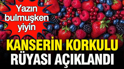 Kanserin korkulu rüyası: Yazın sofradan eksik edilmemesi gereken meyveler