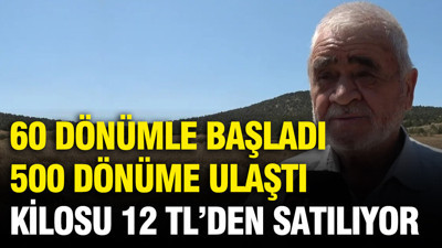Kilosu 12 TL'den satılıyor: 60 dönümle başladı, 500 dönüme ulaştı