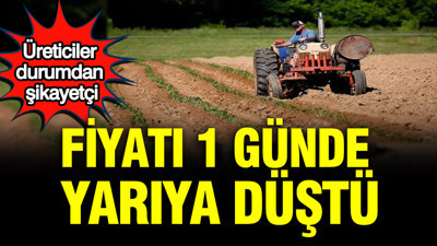Fiyatı 1 günde yarıya düştü: Üreticiler durumdan şikayetçi