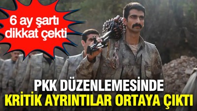 PKK düzenlemesinde kritik ayrıntılar ortaya çıktı: 6 ay şartı dikkat çekti