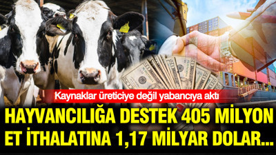 Kaynaklar üreticiye değil yabancıya aktı: Hayvancılığa destek 405 milyon, et ithalatına 1,17 milyar dolar