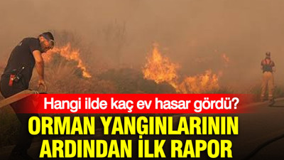 Orman yangınlarının ardından ilk rapor: Hangi ilde kaç ev hasar gördü?