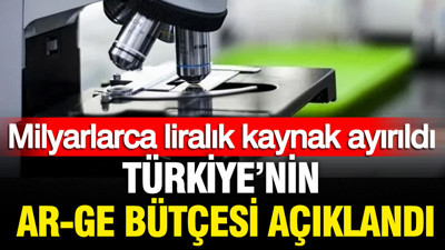 TÜİK açıkladı: Türkiye Ar-Ge'ye ne kadar kaynak ayırıyor?