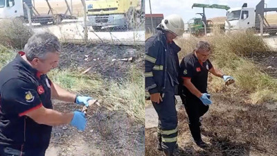 Çorum'da itfaiye ekipleri alevlerden kurtardıkları kaplumbağayı suyla serinletip doğaya bıraktı