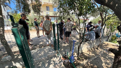 Balıkesir Burhaniye'de belediyenin ağaç kesim adımına mahalle sakinlerinden tepki