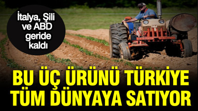 Bu üç ürünü Türkiye tüm dünyaya satıyor: İtalya, Şili ve ABD geride kaldı