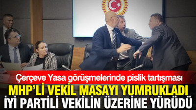 Çerçeve Yasa görüşmelerinde pislik tartışması: MHP'li vekil masayı yumrukladı, İYİ Partili vekilin üzerine yürüdü