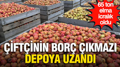 Çiftçinin borç çıkmazı depoya uzandı: 65 ton elma icralık oldu