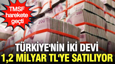TMSF harekete geçti: Türkiye'nin iki devi 1,2 milyara satılıyor