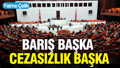 Barış başka, cezasızlık başka