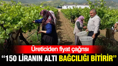 Üreticiden fiyat çağrısı: “150 liranın altı bağcılığı bitirir”