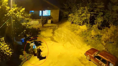 Artvin Hopa'da ayı sesi panik yarattı: Anne ve oğlu eve sığındı