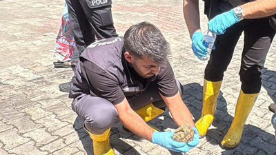 Yangının ortasında mucize kurtarış: Ekipler o canı alevlerin arasında aldı