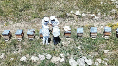 Erzincan’da arıcıların bal hasadı heyecanı başladı