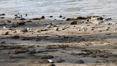 Tuna Nehri'nde kuraklık alarmı: Santral faaliyetlerini durdurdu
